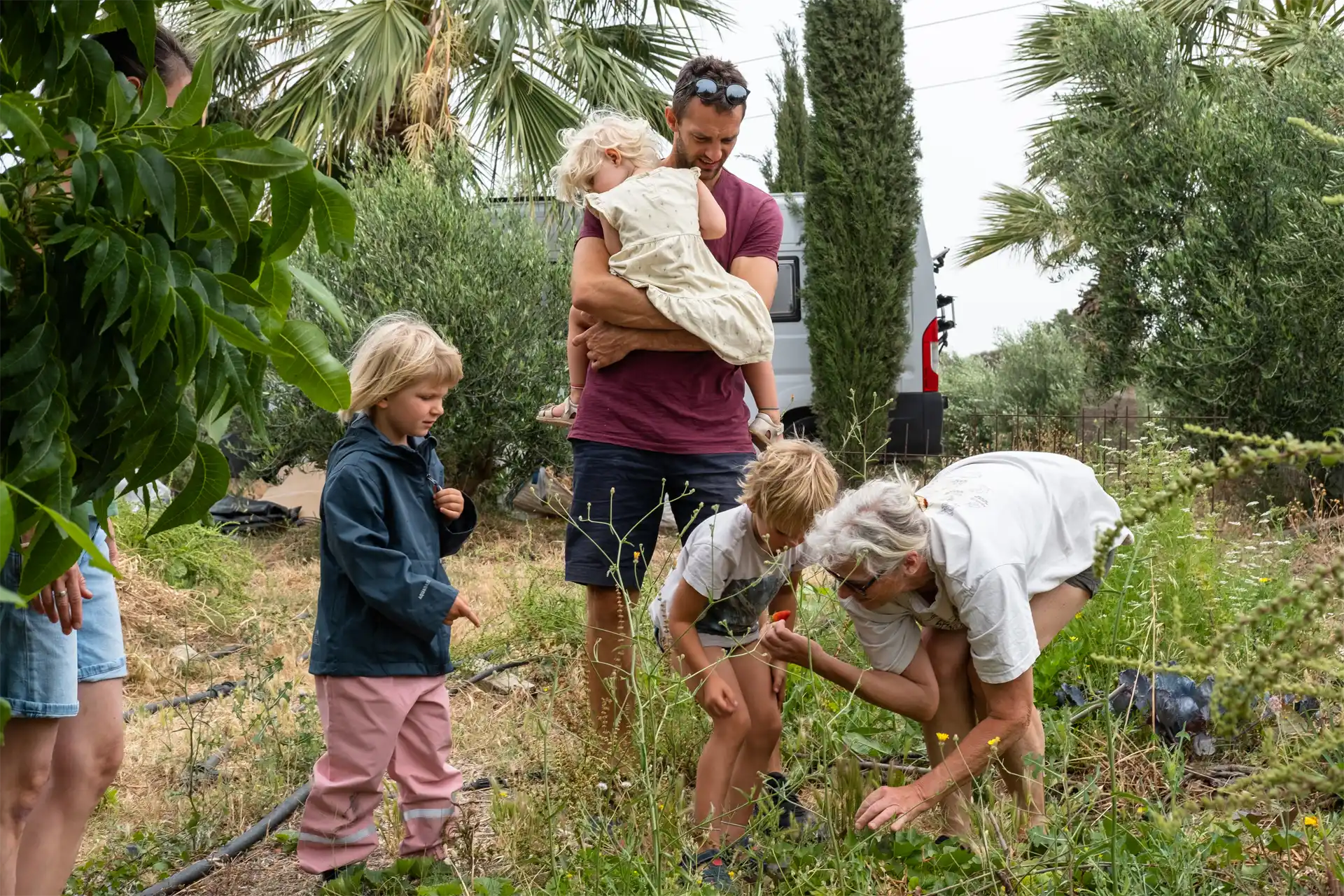 The founder of Paphos Green Goddess picking strawberries while children are waiting
