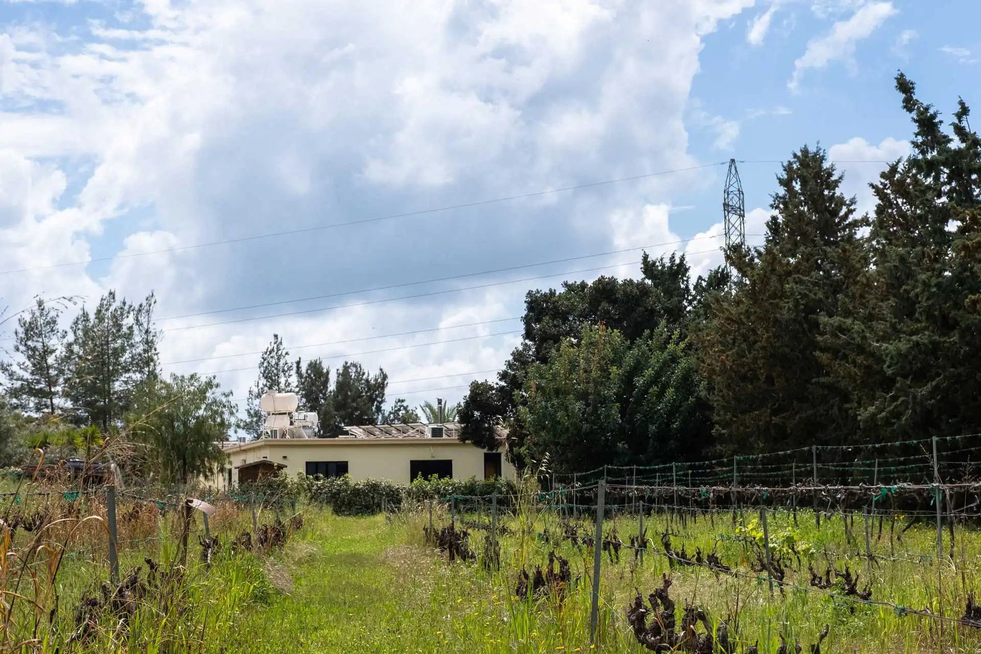 A house with farm land in front